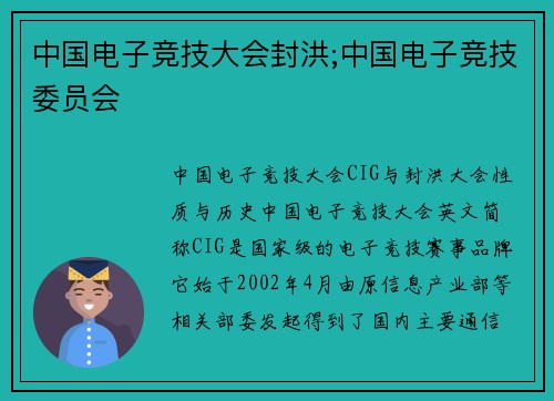 中国电子竞技大会封洪;中国电子竞技委员会